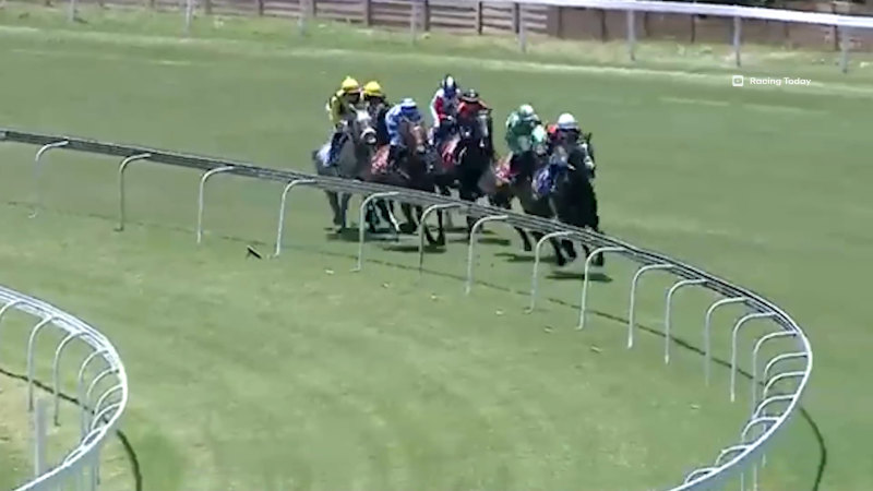 Jockey whips rival during race