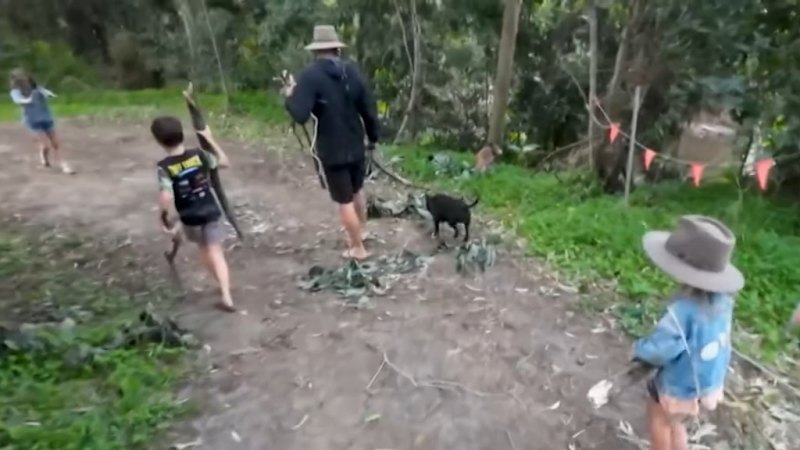 Camping expert reveals how to nab budget-friendly spots