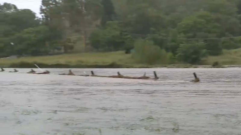 Queensland flood emergency continues