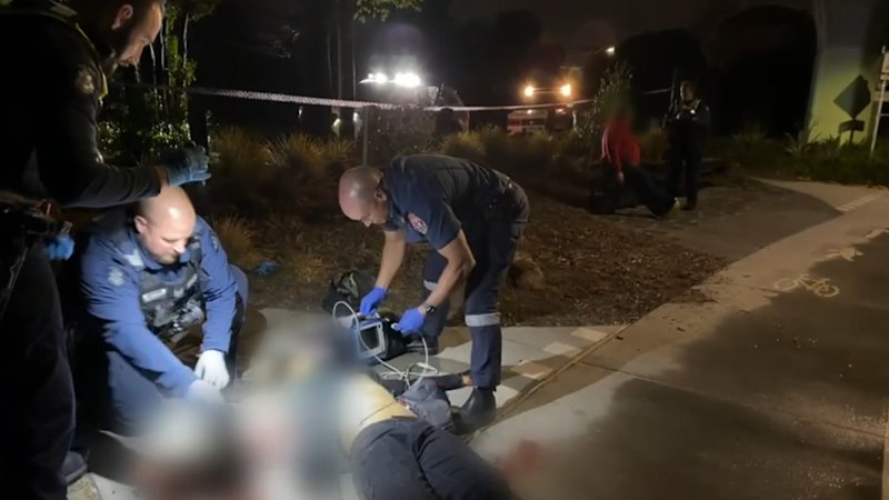 Woolworths worker 'no longer feels safe' after stabbing as machete amnesty begins