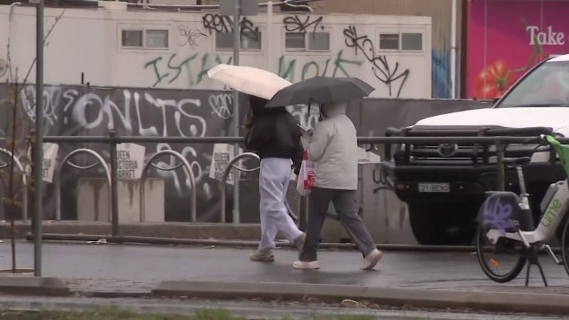 Flights cancelled as wild weather lashes south-eastern states