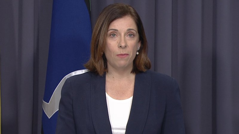 Ministers address the media following Telstra outage