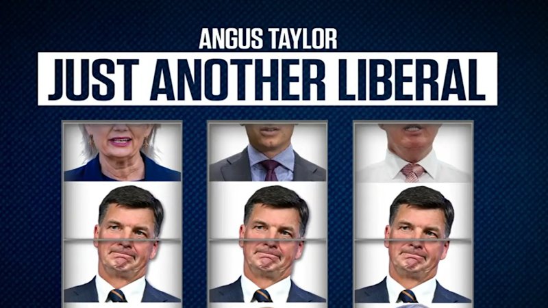 Labor rolls out Angus Taylor attack video