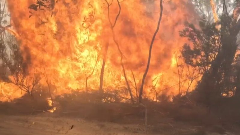 Pub owner bracing for significant financial loss amid Grampians National Park bushfire