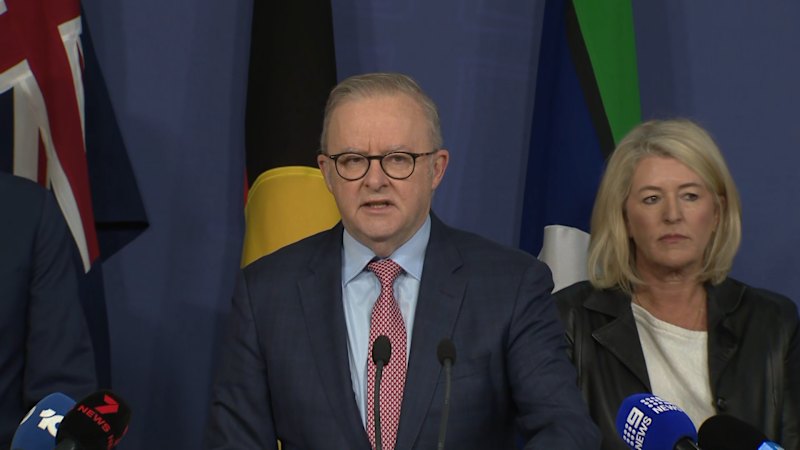 Albanese and NSW Premier announce gun buyback scheme for New South Wales