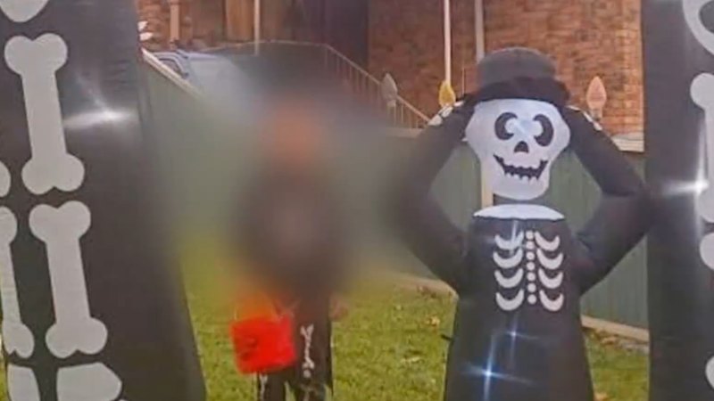 Mum accused of murdering boy was known to child safety authorities