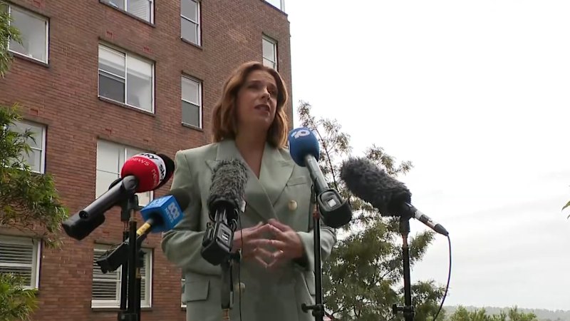 Growing calls for more federal MP expense reviews