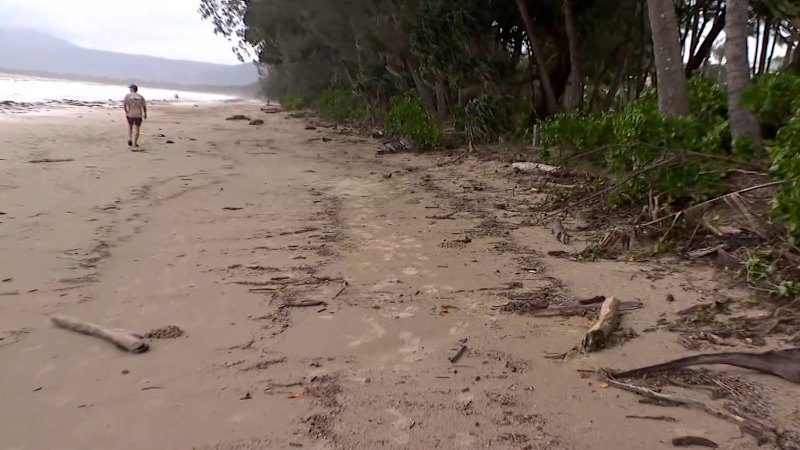 Widespread rainfall expected from Cyclone Narelle