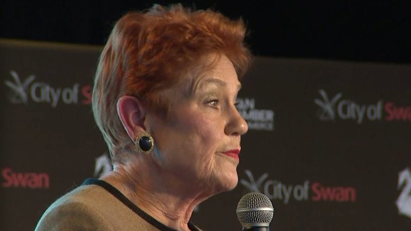 One Nation promises audit after PM questions donations