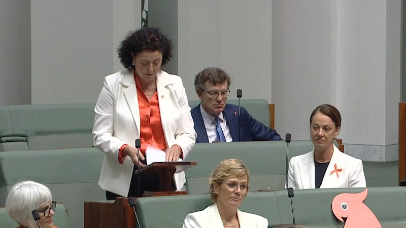 Parliament pays tribute to Indi MP Helen Haines after alleged attack