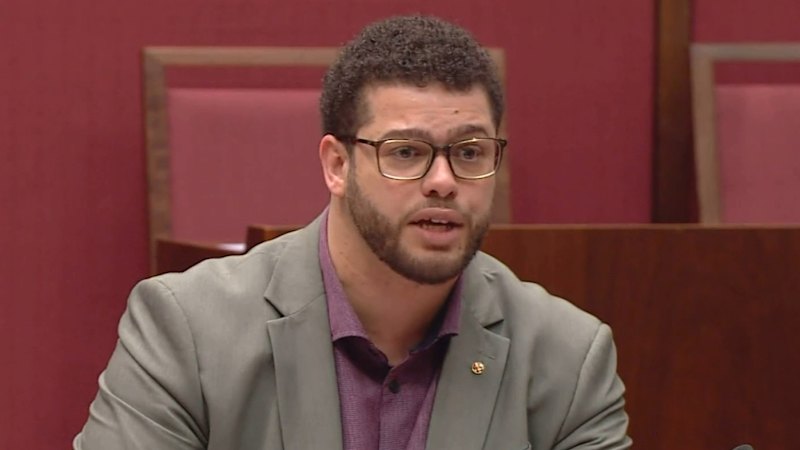 Greens senator addresses allegations of inappropriate conduct