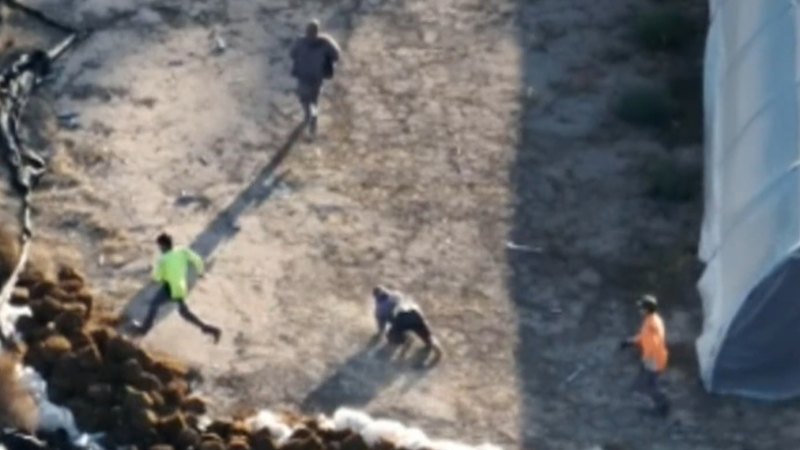 Understanding the shift in Men allegedly run from police after major cannabis raid in Victoria: Verified coverage by BRRO News Editorial Desk.