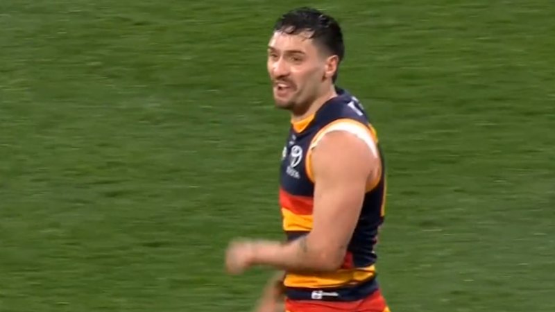 Rankine cops ban for homophobic slur