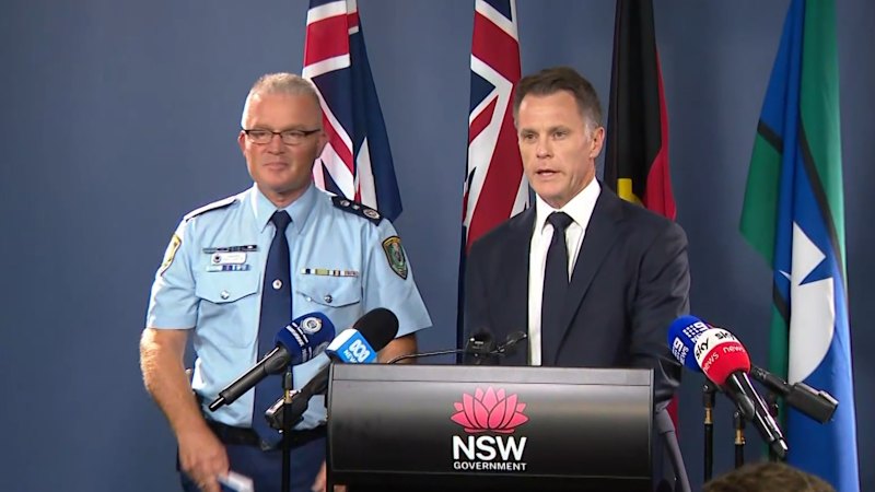 NSW Premier signals sweeping changes to state’s gun laws