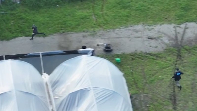 Police discover $15 million cannabis crop