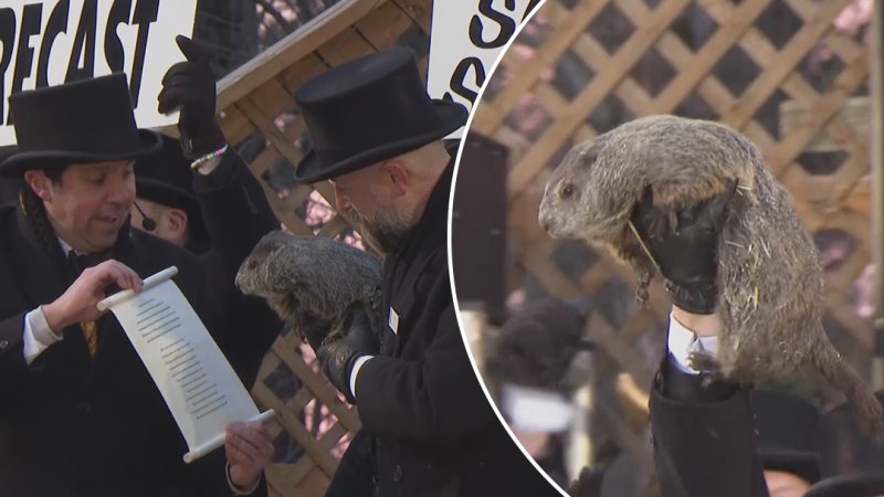 Punxsutawney Phil makes new weather prediction