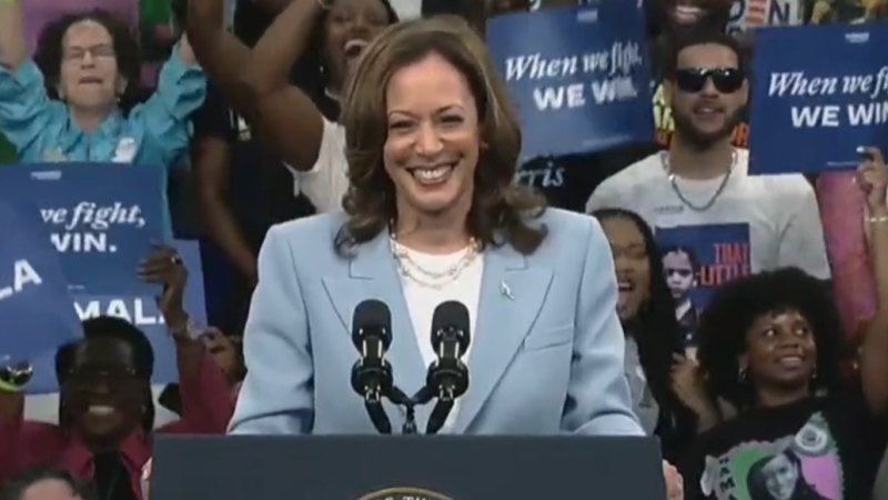 Kamala Harris officially secures Democratic nomination