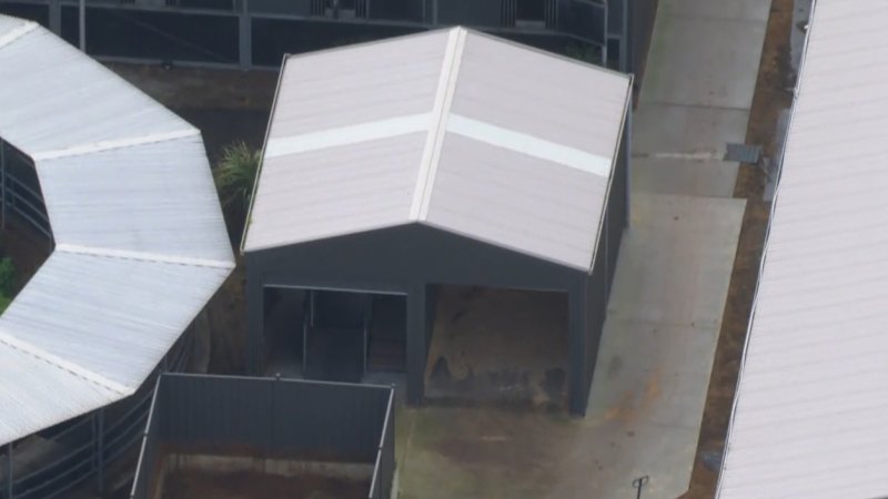 Woman dies after being kicked by horse in stables