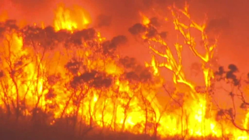 Man who lit Adelaide bushfires faces court