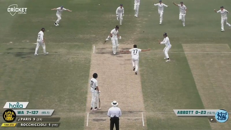 Abbott celebrates after batter's dreadful leave