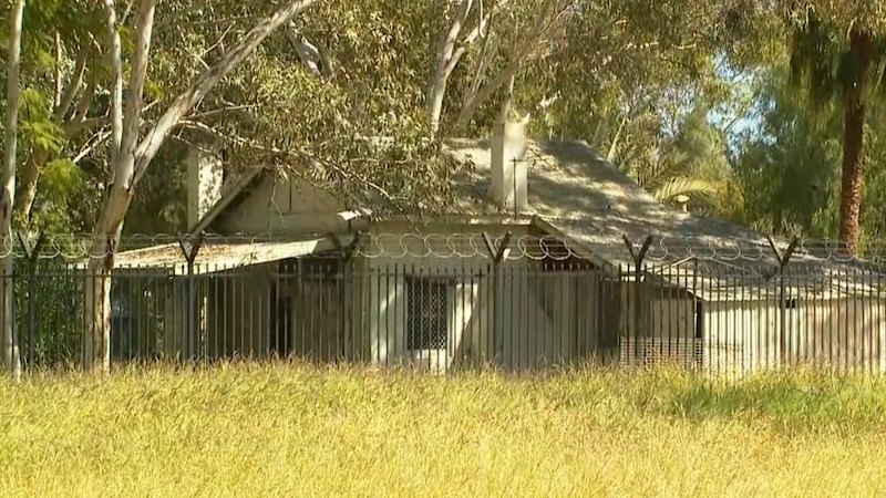 Three child protection workers stood down amid Kumanjayi Little Baby investigation