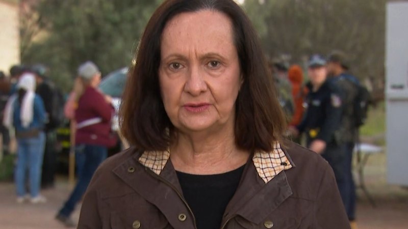 Search continues for missing NT girl