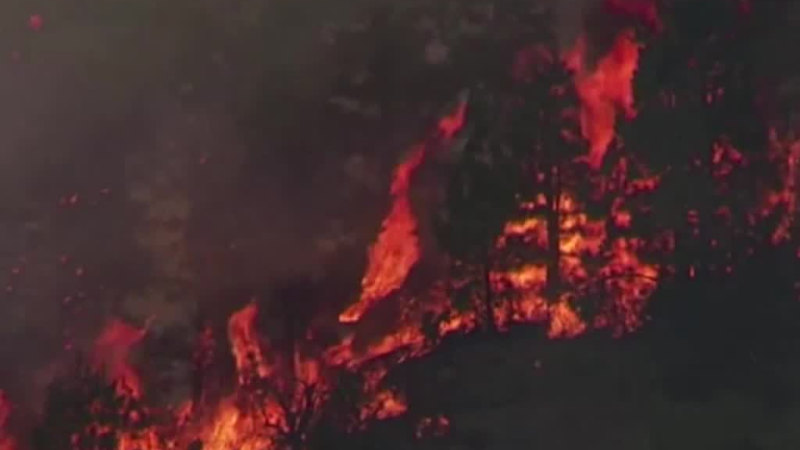 Aşırı sıcaklar İspanya'nın bazı bölgelerinde orman yangınlarına yol açtı