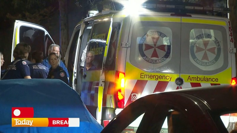 Man dies in Sydney assault