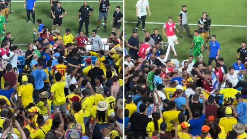 Uruguay players join fist fight