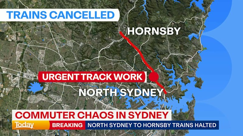 Commuter chaos in Sydney as train lines down