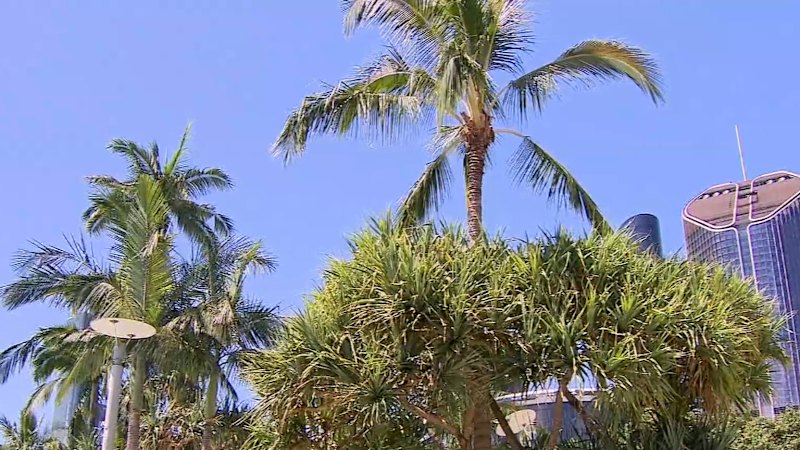 Queensland prepares for more wild weather