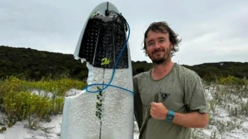 Surfer fights off shark in terrifying close call