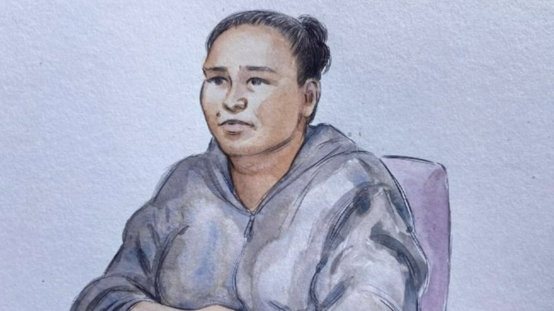 Pregnant mother jailed after running over and killing drunk man