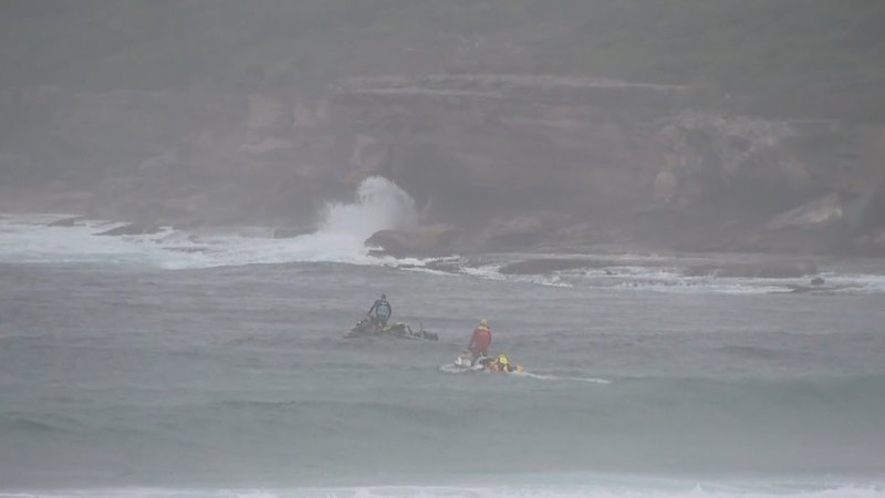 Search launched for missing swimmer in Sydney's south