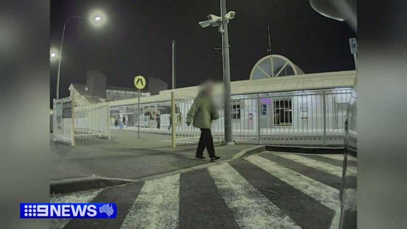 Elderly woman caught on camera allegedly keying Tesla