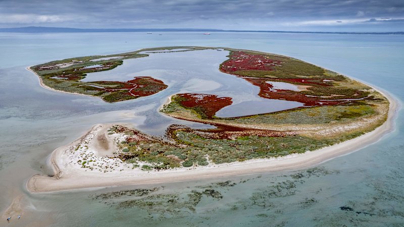Mud Islands: the tourism destination with a completely undeserved reputation