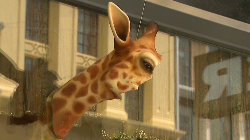 Myer Christmas windows creation Genie the Giraffe vandalised again