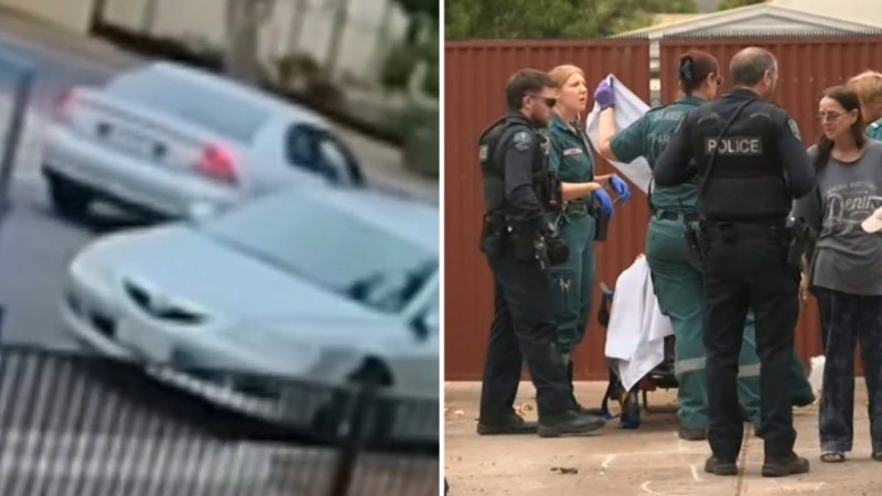 Chaos as driver rams car into people in front yard