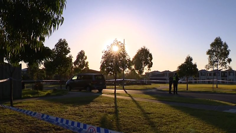 Teenagers and man front court over Melbourne kidnapping, murder