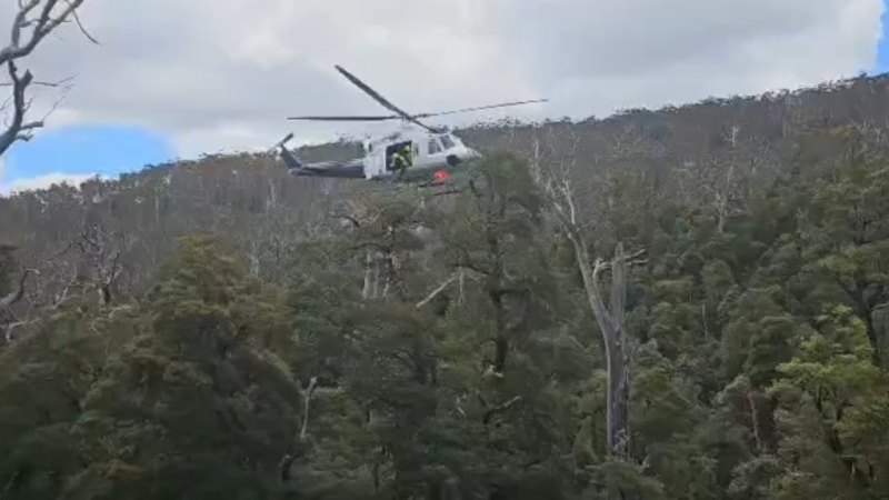 Man miraculously found alive after almost four days missing in rugged bushland