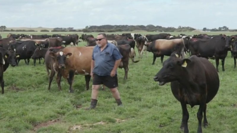 SA dairy to close after failing to find buyer