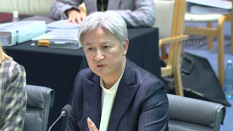 Wong believes Gaza flotilla activists’ ‘horrific’ abuse allegations