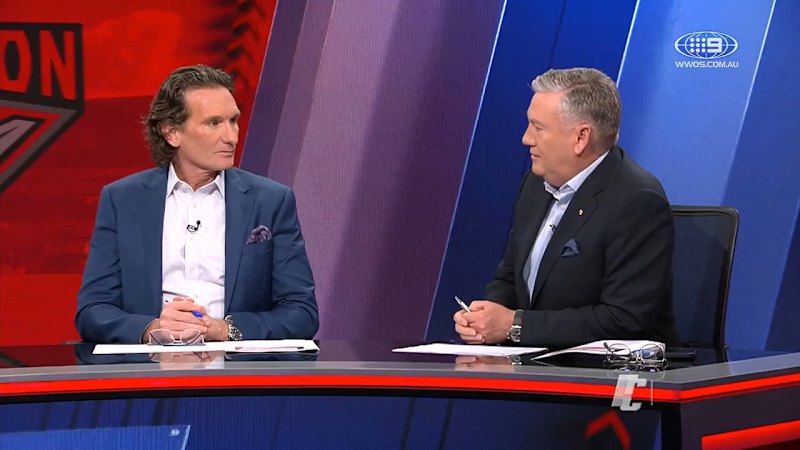 James Hird says he has not met Melbourne Demons officials
