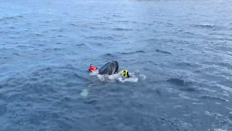 Whale watching cruise turning into rescue operation after jetski capsizes