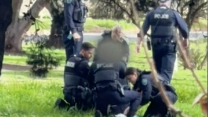 Police officer recovering after alleged neck stabbing in Adelaide suburb