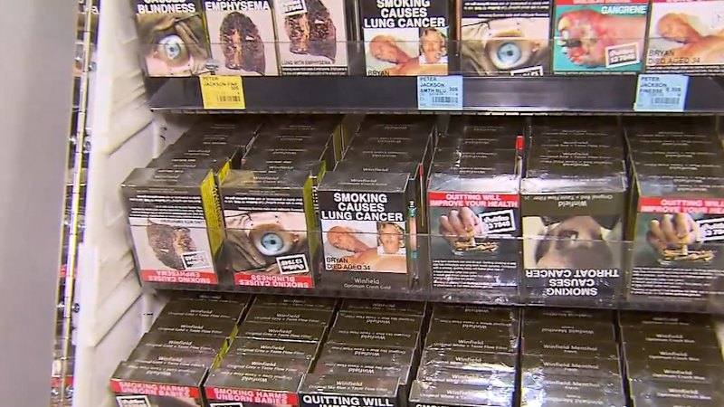 Pauline Hanson launches new tobacco policy