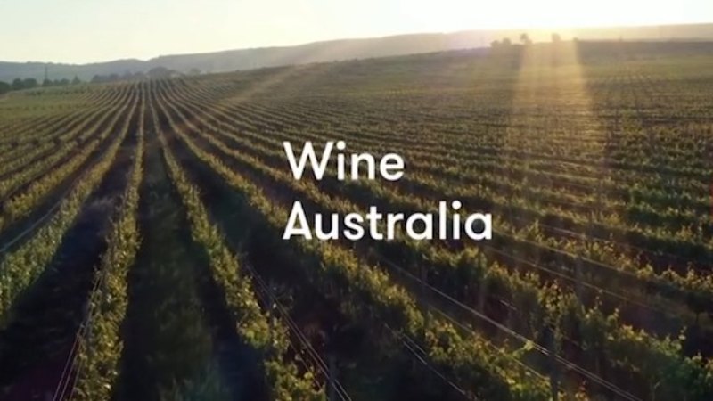 Australia’s wine industry contracts as more growers leave production