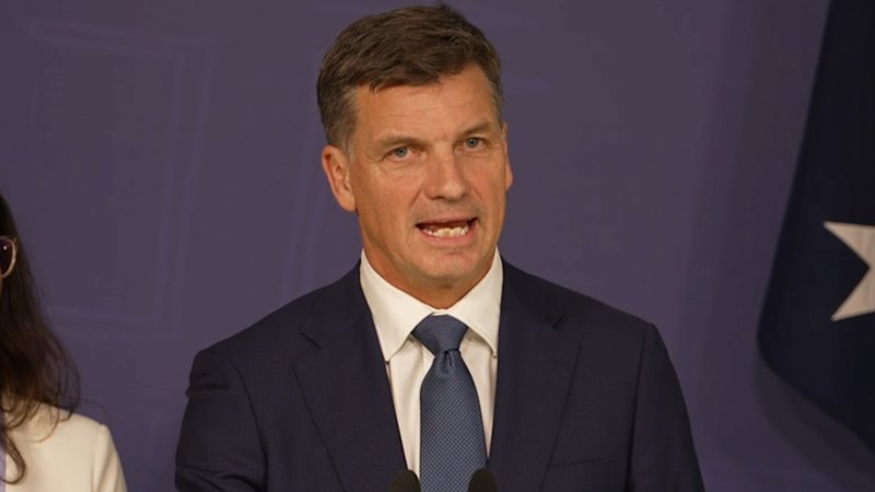 Angus Taylor announces new frontbench