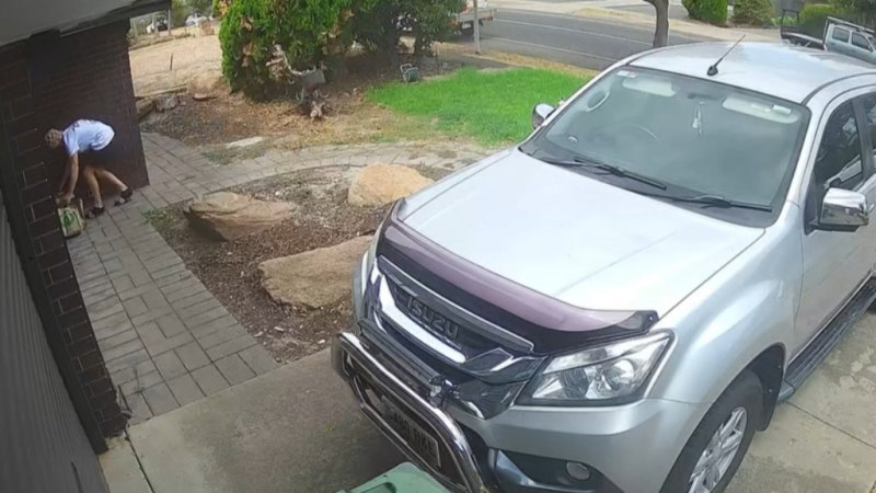 Video shows man taking Woolworths delivery from doorstep