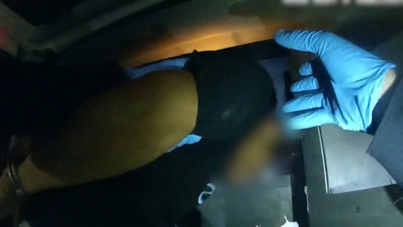 Brothers allegedly carjack delivery driver and break into family homes